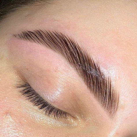 eyebrow lamination guide how long does brow lamination last What Is Brow Lamination, Faded Eyebrows, Eyebrow Feathering, Ombre Powder Brows, Eyebrow Lamination, Ombre Eyebrows, Eyebrow Makeup Products, Best Eyebrow Makeup, Powder Brows