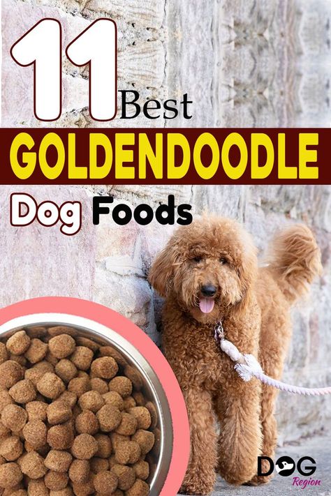 Best Dog Foods for Goldendoodles Dog Foods, Healthy Dog Food Recipes, Advantages And Disadvantages, Best Dog Food, Healthy Dogs, Goldendoodle, Dog Food, Health Issues, Best Foods