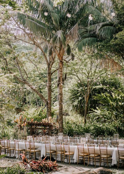 A Costa Rican Botanical Garden Wedding With A Surprise Concert From The Groom ⋆ Ruffled Jungle Wedding Aesthetic, Wedding In Costa Rica, Tropical Destination Wedding Decor, Jungle Beach Wedding, Carribean Destination Wedding, Costa Rica Wedding Dress, Tropical Wedding Dress, Costa Rican Wedding, Tropical Garden Wedding