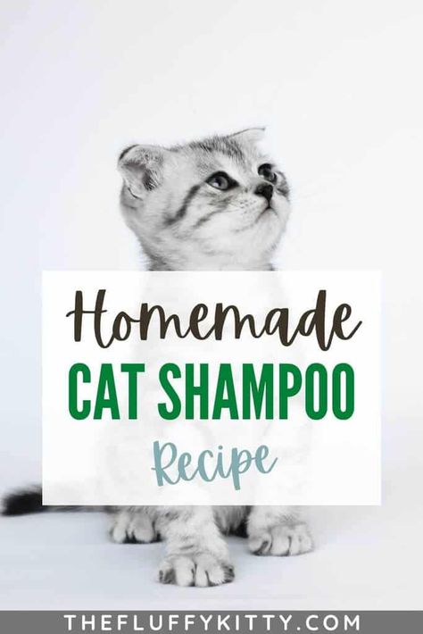 Diy Cat Shampoo, Flea Shampoo For Cats, Fluffy Kitty, Cat Wash, Flea Shampoo, Shampoo Recipe, Cat Shampoo, Pet Tips, Homemade Shampoo