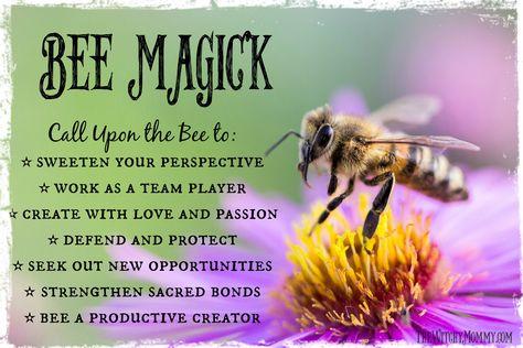 Bee Spiritual Meaning, Bee Symbolism, Bee Spirit Animal, Apothecary Herbs, Animal Totem Spirit Guides, Witches Apothecary, Smudge Bundles, Spirit Animal Meaning, Animal Meanings