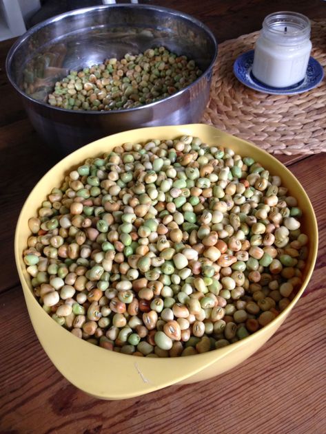 How To Freeze Peas, Crowder Peas Recipe, Crowder Peas, Garden Vegetable Recipes, Field Peas, Fried Cornbread, Red Peas, Freezing Vegetables, Freezing Fruit