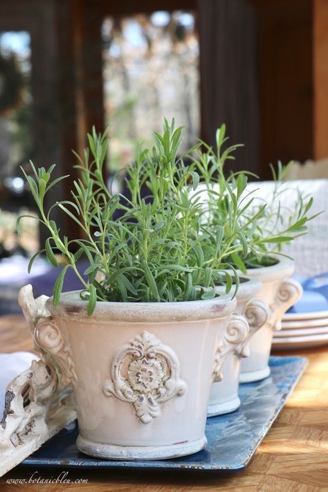 French Country Gardens Provence France, French Garden Planters, Plants In Urns, French Country Spring Decor, French Flower Pots, French Flower Bucket, Lavender Bedding, Flower Urn, French Pottery