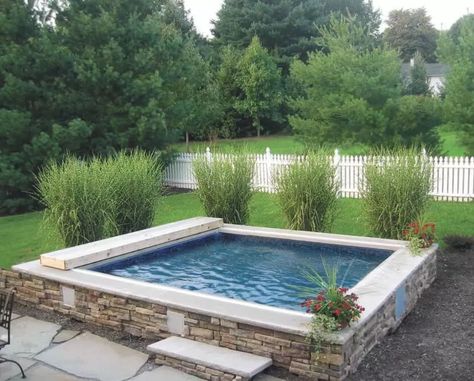 Plunge Pool Cost, Spool Pool, Pool Warmer, Small Swimming Pool, Oberirdischer Pool, Backyard Landscapes, Therapy Pools, Endless Pools, Bio Pool