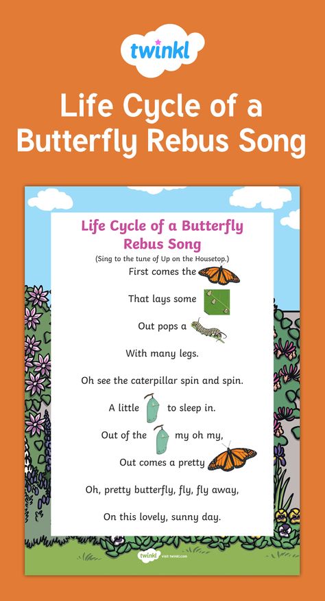 This cute Rebus song will teach children about the life cycle of a butterfly. The song includes lyrics and pictures of key life cycle vocabulary words. Early Childhood students will be excited to read along by using the cute butterfly illustrations. Bugs Quotes, Preschool Butterfly, Butterfly Activities, Butterfly Song, Insect Study, Butterfly Poems, Playgroup Activities, Toddler Songs, Life Cycle Of A Butterfly