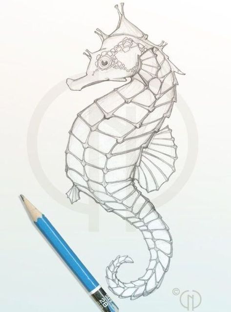 Realistic Seahorse Drawing Child Name Tattoo, Seahorse Sketch, Seahorse Drawing, Seahorse Painting, Horse Outline, Seahorse Tattoo, Ocean Drawing, Seahorse Art, Tattoos With Kids Names