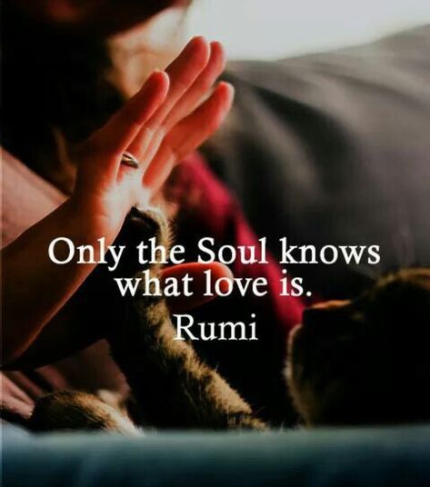 Best Rumi Quotes, Quotes Rumi, Rumi Quotes Life, Rumi Quotes Soul, Rumi Poem, Rumi Poetry, What I Like About You, Rumi Love Quotes, Rumi Love