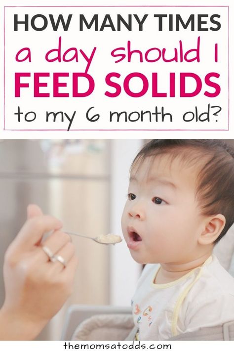 Six Month Feeding Schedule, Infant Feeding Schedule With Solids, What Should I Feed My 6 Month Old, 6 Month Old Schedule Food, 6 Month Old Schedule With Solids, Schedule For 6 Month Old Baby, What Can I Feed My 6 Month Old, Good Ideas For 7 Month Old, Weaning Schedule 6 Months