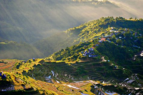 Maligcong Rice Terraces in Bontoc, Mountain Province. October 2014. Bontoc Mountain Province, Relief Tiles, Rice Terraces, Pretty People, Philippines, Rice, Natural Landmarks, Travel, Quick Saves