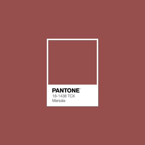 Burgundy Room, Color Palette For Home, Color Library, Marsala Color, Pantone Palette, Pantone Colour Palettes, Cabinet Medical, Fashion Textiles, Idea Design