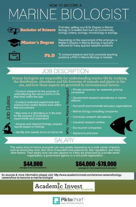 How to Become a Marine Biologist | Academic Invest Marine Biology Projects, Ocean Jobs, Marine Biologist Outfit, Biology Careers, Science Careers, Oceanography Marine Biology, Biology Major, Marine Science, Perfect Job