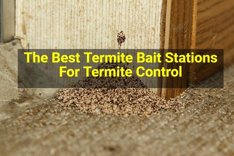 A bait station employs appetizing treats that attract termites effortlessly. This delicious termite bait is infected with a slow-acting ingredient that traps and kills termites that eats it. Termite Control, Acting