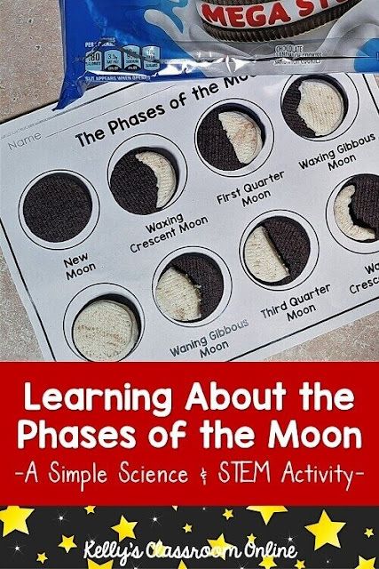 Oreo Moon Phases, Craft For Children, What Is Stem, Stem Experiments, Animal Life Cycles, The Phases Of The Moon, General Science, Stem Lesson, Fun Facts About Animals