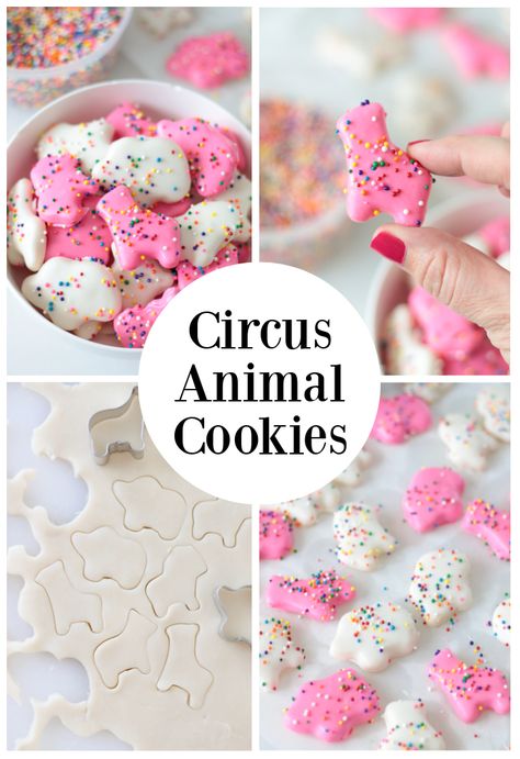 Homemade Circus Animal Cookies Circus Cookies Recipes, Homemade Circus Animal Cookies, Homemade Animal Cookies, Frosted Circus Animal Cookies, Circus Animal Cookies Recipes, Circus Animal Cookie Party, Animal Cookie Recipes, Iced Animal Cookies, Homemade Sprinkles Recipe