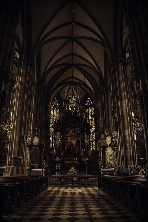 Dark Acadamia, Dark Castle, Castle Aesthetic, Gothic Cathedrals, Gothic Church, Royal Aesthetic, Slytherin Aesthetic, Gothic Aesthetic, Dark Academia Aesthetic