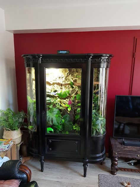 Terrarium Furniture Ideas, Python Terrarium Ideas, Dresser Terrarium, Terrarium Bedroom, Snake Terrarium Ideas Ball Python, Reptile Room Aesthetic, Terrarium Furniture, Terrarium Room, Ball Python Enclosure