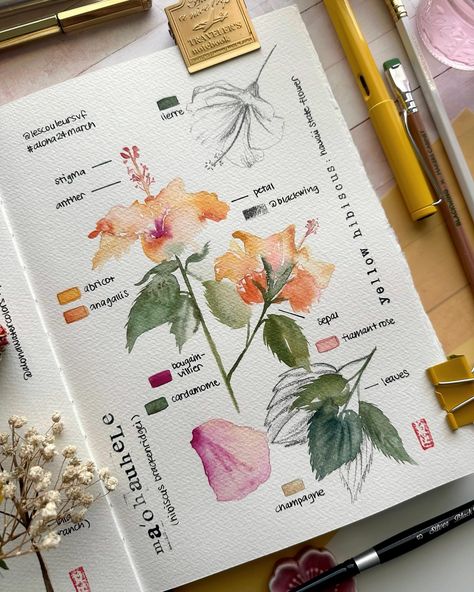 💛🧡My take on the Ma’o ahu hele for week 2 of the #aloha24march challenge. I’ve been really loving painting these #botanicalart pages and… | Instagram Beach Watercolor Art, Loving Painting, Botanical Art Drawing, Ref Photo, Botanical Journal, Botanical Sketchbook, Lotus Flower Art, Nature Sketch, Watercolour Inspiration