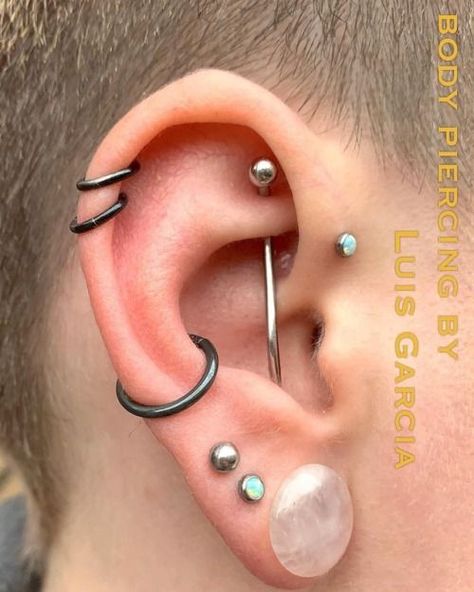 Percinings Ear Ideas Industrial, Guys Ear Piercings, Ear Piercings Industrial, Unique Ear Piercings, Men's Piercings, Piercing Conch, Cool Ear Piercings, Face Piercings, Cool Piercings