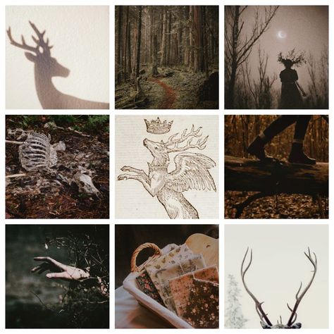 Deer Moodboard, Moodboard Inspo, Adopt Idea, Magic Aesthetic, Mood Board Inspiration, Scary Art, Mood Board Design, Creative Drawing, Aesthetic Images