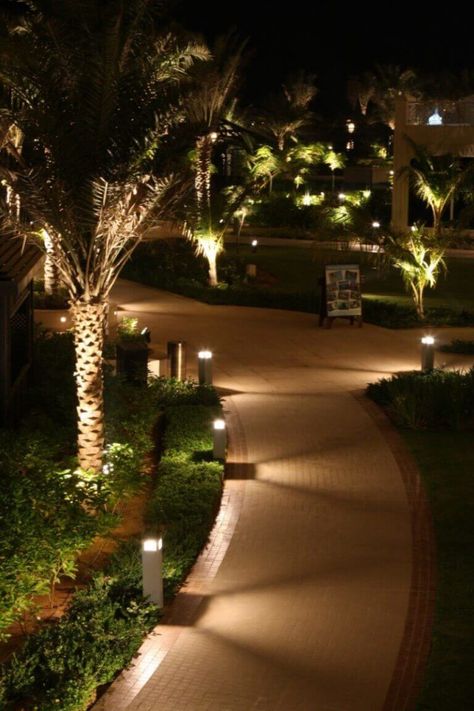 Having a look at some ideas certainly will not hurt, as they may inspire you into knowing some aspects you would want to be incorporated into your landscape path lighting. See more at backyardmastery.com Path Lighting Ideas, Garden Lighting Design, Walkway Lighting, Outdoor Lighting Design, Landscape Lighting Design, Solar Landscape Lighting, Outdoor Walkway, Solar Landscape, Led Landscape Lighting