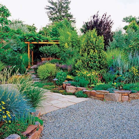 Drought-tolerant landscape decor - design realpalmtrees.com - #palmtreelandscape #coolpalms #palms #palmTrees #fallwinterIdeas #plants buy palm trees #DIYIdeas #TropicalYardIdeas #texas #realpalmtrees #california #florida Low Water Gardening, Concrete Patios, Drought Tolerant Garden, Waterwise Garden, Drought Tolerant Landscape, Roswell New Mexico, Front Yard Ideas, Low Maintenance Landscaping, Garden Shrubs