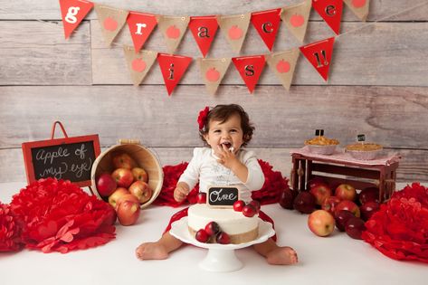 Harvest Birthday Party, Fall Baby Photos, Apple Birthday, Cake Smash Theme, Bday Shoot, Apple Theme, Fall Apples, Birthday Cake Smash