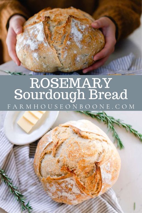 This rosemary sourdough bread recipe is crusty on the outside, chewy on the inside and packed full of rosemary flavor. Fragrant herbs are baked into this glorious round loaf. Sour Dough Bread Recipe Using Starter, Beginner Sourdough, Sourdough Ideas, Artisan Sourdough Bread Recipe, Homestead Cooking, Beginners Bread Recipe, Easy Sourdough Bread Recipe, Homestead Recipes, Prairie Homestead