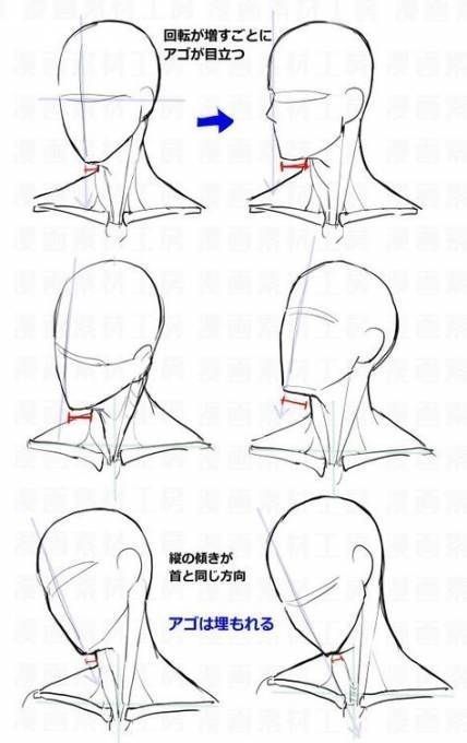 Drawing Tutorial Face, Berry Farm, Body Drawing Tutorial, Face Drawing Reference, Manga Drawing Tutorials, Drawing Heads, Drawing Faces, Face Sketch, Sketches Tutorial