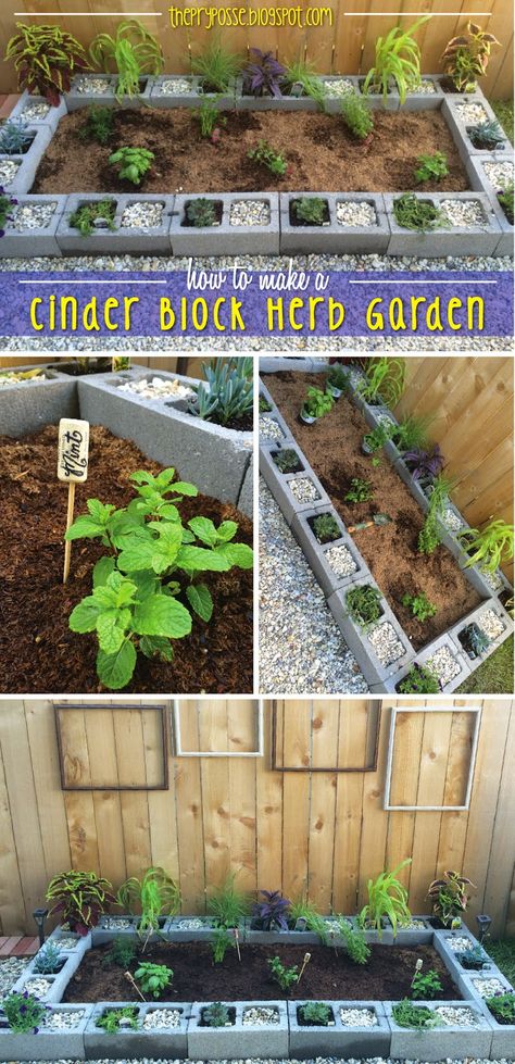 Diy Planter Boxes Cinder Block, Garden Bed Cinder Block, Small Herb Garden Ideas Diy Projects, Old Cinder Block Ideas, Easy Diy Herb Garden Outdoor, Cinder Block Herb Garden Ideas, Cinder Block And Wood Raised Garden Bed, Cinder Block Herb Garden, Cinder Block Garden Border