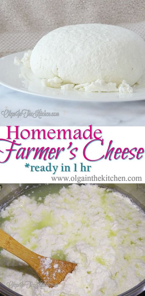 Homemade Farmer's Cheese: A 2-ingredient easy homemade farmer's cheese recipe ready in an hour to create delicious meals. |olgainthekitchen.com Farmers Recipes, Farmers Cheese Recipes, Homemade Cottage Cheese, Cheese Recipes Homemade, Farmer’s Cheese, Cheese Making Recipes, Farm Cheese, Goat Milk Recipes, Diy Cheese