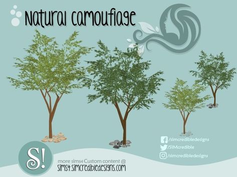 Sims 4 Cc Trees Patreon, Ts4 Landscaping, Sims 4 Cc Nature, Camouflage Decor, Sims4 Mod, Italian Cypress Trees, Sim4 Cc, Sims 4 Men Clothing, Sims Furniture