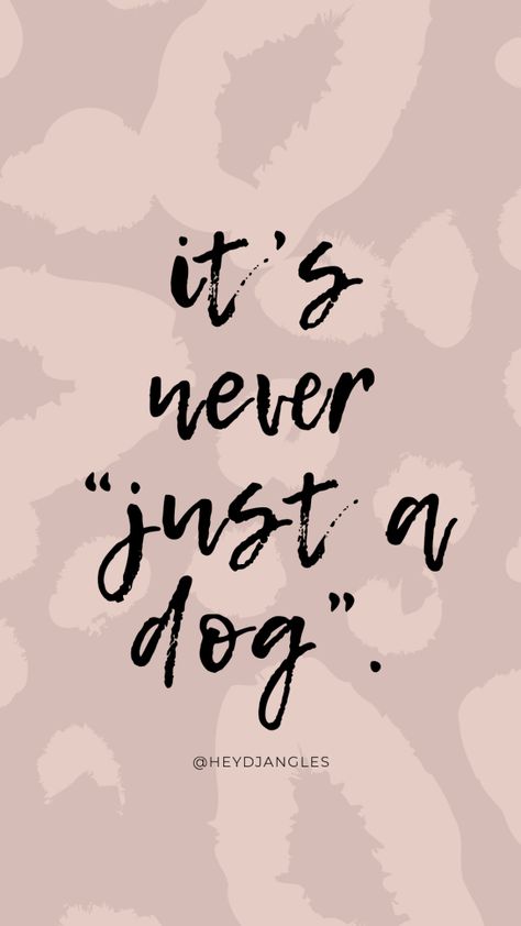 Cute Dog Quotes, Dog Mom Quotes, Miss My Dog, Dog Lover Quotes, Dog Quotes Love, Crazy Dog Lady, Dog Lady, Dog Wallpaper, Animal Quotes