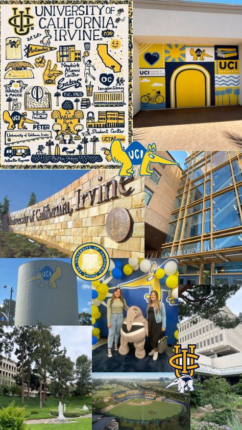 Uc Irvine wallpaper collage Fountain Park, Uc Irvine, University Of California Irvine, College Apps, College Vision Board, Dream Fantasy, Student Center, After College, Dream College