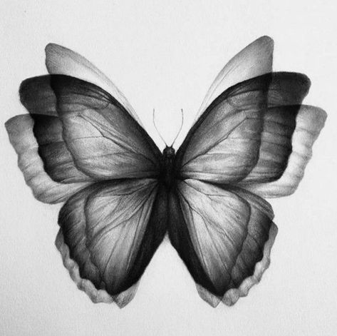 Nabi Tattoo, Monarch Butterfly Tattoo Black And White, Butterfly Drawing, Dream Tattoos, Dope Tattoos, Black Butterfly, Art Tattoos, Creative Tattoos, Tattoo Stencils