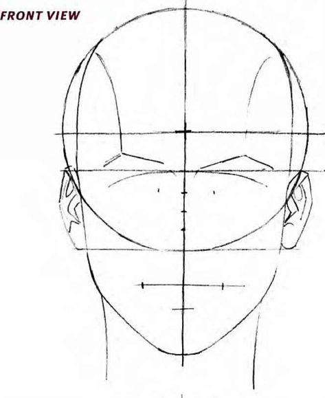 Guide Lines Drawing, A Face Drawing, Face Proportions Drawing, Head Guide, Pencil Drawing Pictures, Lines Drawing, Head Anatomy, How To Contour, Structural Drawing