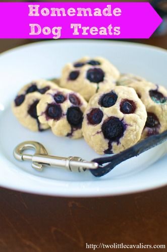 Cooking Blueberries, Blueberry Dog Treat Recipe, Blueberry Dog Treats, Easy Dog Treat Recipes, Easy Dog Treats, Diy Dog Treats, Puppy Treats, Muddy Paws, Dog Cookies