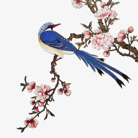 Chinese Flowers, Japanese Bird, Chinese Flower, Bird Clipart, Hand Embroidery Kits, Bird Canvas, China Art, Bird Drawings, Traditional Paintings