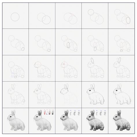 Rabbit Drawing Tutorial, Drawing A Rabbit, Cutest Animals In The World, Draw A Rabbit, Draw A Bunny, Easy Drawing Guides, Crayons Pastel, All About Rabbits, Skip To My Lou