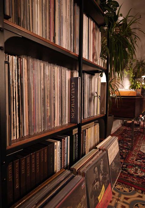 Record Collection Living Room, Record Storage Aesthetic, Cozy Jazz Aesthetic, Jazz Aesthetic Bedroom, Record Collection Aesthetic, Vinly Recorder, Vinyl Collection Aesthetic, Record Collection Display, Vinyl Library