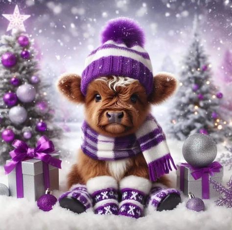 Cow Artwork, Cow Photography, Highland Cow Art, Mini Cows, Merry Christmas Pictures, Fluffy Cows, Christmas Cow, Cow Pictures