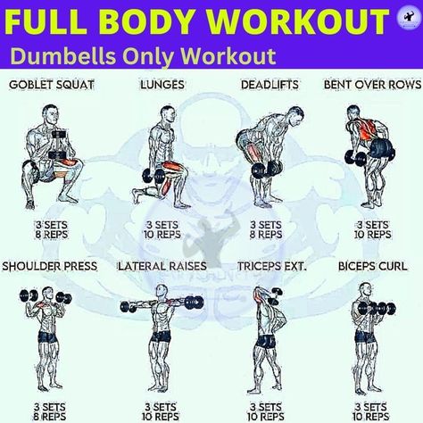 Full body workouts are great for someone just starting or have a busy life. You just train 3 days a week and hitting every muscle 3 times per week, which is more than enough to build muscle and strength. If you are looking for a full body workout routine, I usually recommend an excellent program for any beginner called Stronglifts 5×5. You can know everything about this program at: Full Body Home Workout With Weights, Db Workout Strength Training, Overall Body Weight Workout, Dumbell Workout Plan At Home, Full Body Workout Free Weights, Full Body Weightlifting Workout, Full Body Pull Workout, Full Body Workout Chart, Super Set Workouts Full Body Gym