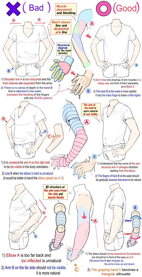 Drawing technique to get better pose and arm angle with hands on hips Arm Anatomy, Arm Drawing, Body Drawing Tutorial, Manga Drawing Tutorials, Hands On Hips, Human Drawing, Body Reference Drawing, Hand Reference, Anatomy Drawing