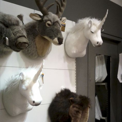 Flickr Unicorn Head, Rainbow Party, Taxidermy, Rainbow, Wall, Animals