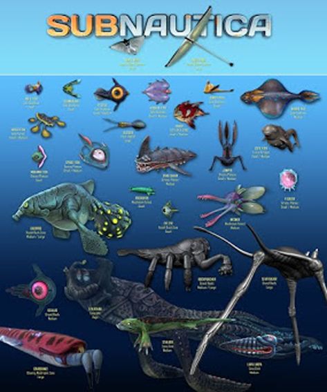 Subnautica Fauna Sheet 1 Subnautica Game, Subnautica Creatures, Subnautica Concept Art, Subnautica Below Zero, Speculative Evolution, Below Zero, Ipad Snap, Cute Fish, Alien Creatures