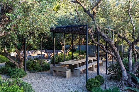 An outdoor dining area, and, in the background, a seating area made of concrete benches with cushions. Xeriscape Landscaping, Tin House, Malibu Home, Outdoor Seating Area, Gravel Garden, Patrick Dempsey, Frank Gehry, Mediterranean Garden, Garden Structures