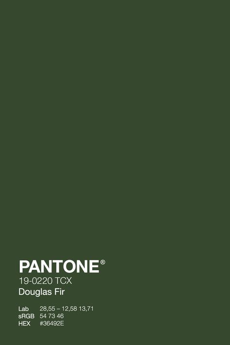 Get ready for winter with the fresh and cozy PANTONE Gouglas Fir 19-0220 TCX green. This color will give your wardrobe an instant refresh and keep you feeling warm without compromising style. Get your grinch on early with green! #PantoNE #PineGrove #WinterWardrobe #green #wintercolor Pantone Shades Of Green, Dark Green Color Swatch, Forest Green Shades, Fall Green Aesthetic, Deep Green Aesthetic Vintage, Green Pantone Colors, Pine Green Color Palette, Royal Green Aesthetic, Green Pantone Palette