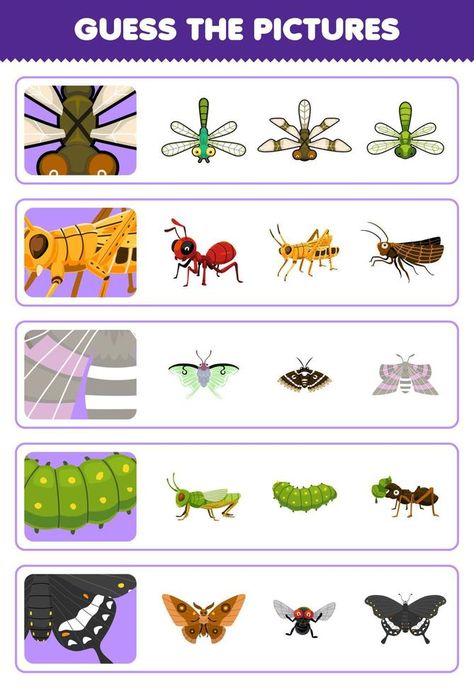 Education game for children guess the correct pictures of cute cartoon dragonfly grasshopper moth caterpillar butterfly printable bug worksheet Cartoon Dragonfly, Bug Printable, Caterpillar Butterfly, Hungry Caterpillar Activities, Bug Activities, Game For Children, Moth Caterpillar, Logic Games, Butterfly Printable