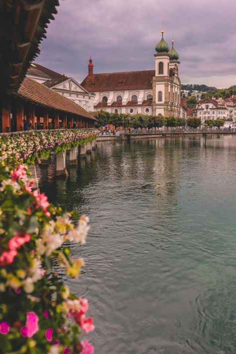 Chapel Bridge Lucerne, Switzerland Zurich Old Town, Courtyard Marriott, Switzerland Itinerary, Lucerne Switzerland, Row Boats, Waterfront Restaurant, Travel Photography Tips, Lucerne, Great View