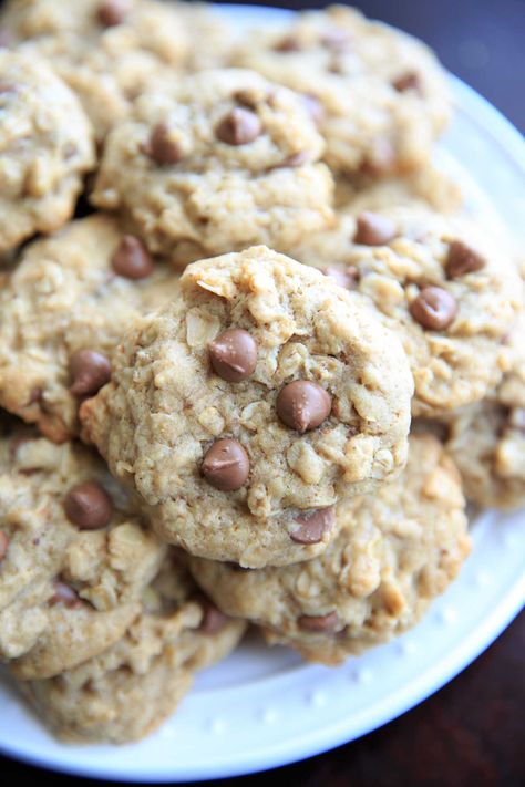 Healthy Lactation Cookies, Lactation Cookies Recipe, Cookies Gluten Free, Breastfeeding Foods, Lactation Recipes, Peanut Recipes, Baby Finger Foods, Lactation Cookies, Brewers Yeast