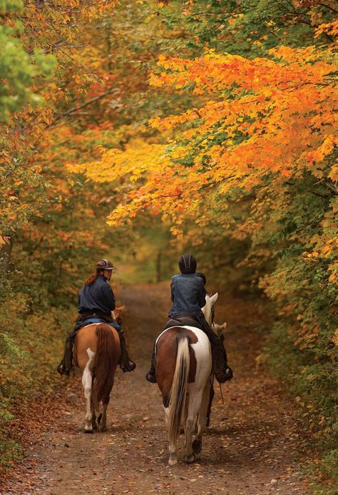 Horseback Riding Aesthetic, Trail Riding Horses, Horse Riding Quotes, Horseback Riding Outfits, Horse Riding Tips, Horse Trail, Guest Ranch, Horse Ranch, Cool Weather